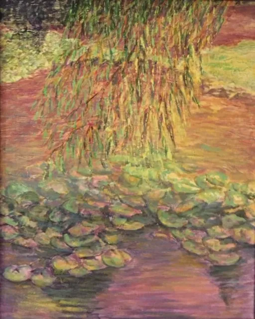 Sun Loving Lillies