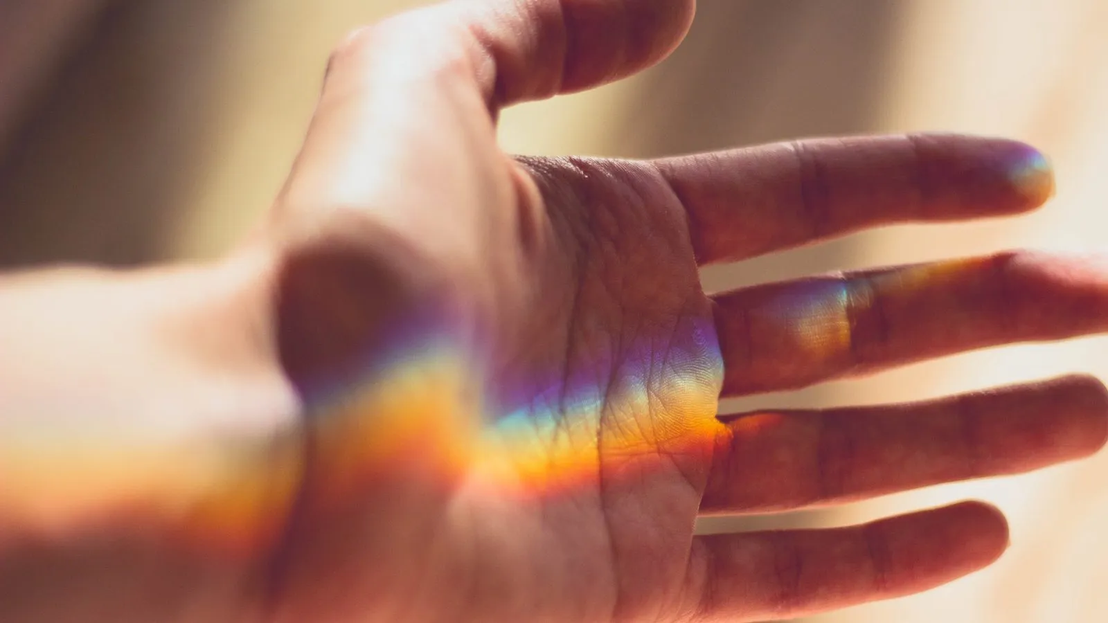 Joy as a Practice of Opening Your World