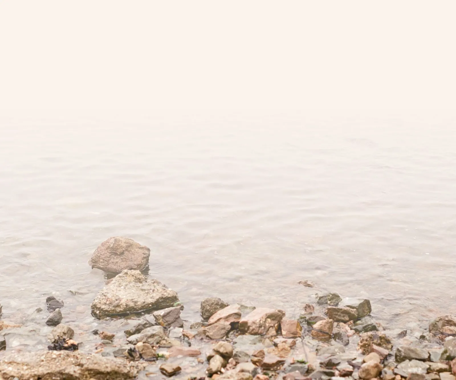 Meet Nanette: Therapist and Psychotherapist