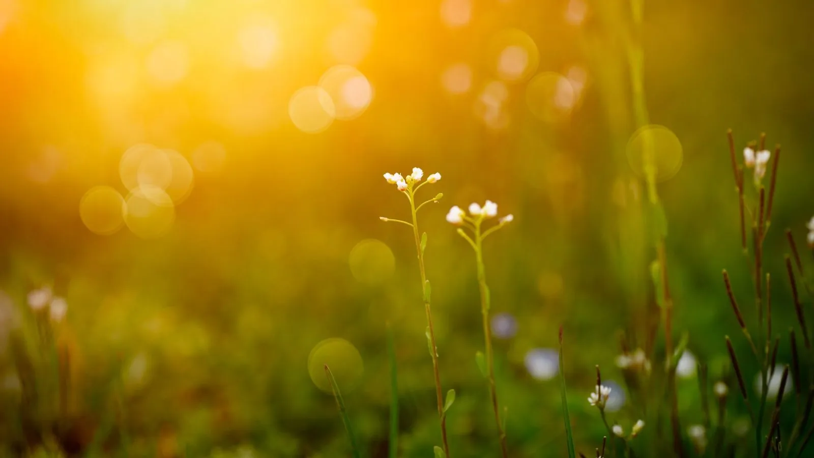 Overcoming Difficulties that Come with Change